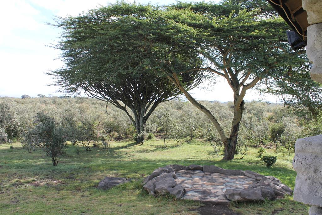 Shwari Cottages Naivasha Exterior photo